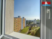 Prodej bytu 1+1, Plzeň - Severní Předměstí, Brněnská, 38 m2