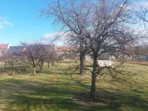 Prodej zahrady, Olomouc, Lidická, 1080 m2