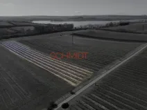 Prodej sadu/vinice, Sedlec, 11641 m2