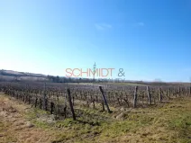 Prodej sadu/vinice, Sedlec, 11641 m2