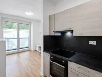 Pronájem bytu 1+kk, Dubňany, Hornická, 37 m2