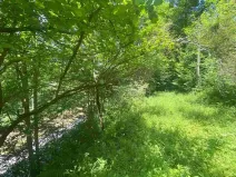 Dražba pozemku, Malá Bystřice, 933 m2