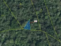 Dražba lesa, Podhořany u Ronova, 129 m2