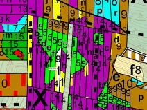 Dražba lesa, Prachatice, 2082 m2