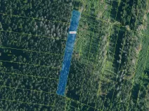 Dražba lesa, Prachatice, 2039 m2