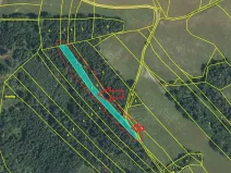 Prodej lesa, Dolany, 3023 m2