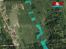 Prodej lesa, Nový Hrozenkov, 61613 m2