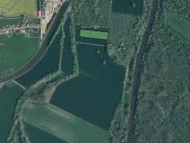 Prodej pole, Hořín, 11150 m2