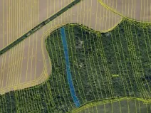 Prodej zahrady, Syrovín, 2318 m2