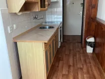 Pronájem bytu 2+1, Ústí nad Labem, U Pivovarské zahrady, 60 m2