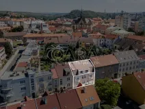 Prodej rodinného domu, Slaný, Vepřkova, 440 m2