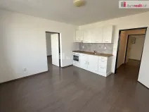 Pronájem bytu 2+1, Ústí nad Labem - Střekov, Purkyňova, 52 m2