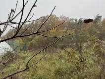 Prodej pozemku, Praha, 14747 m2