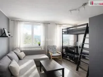 Pronájem bytu 1+kk, Ústí nad Labem - Všebořice, Spartakiádní, 32 m2