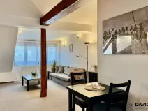 Pronájem bytu 1+kk, Brno - Veveří, Gorkého, 61 m2