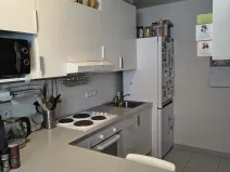 Pronájem bytu 1+kk, Brno, U Leskavy, 47 m2