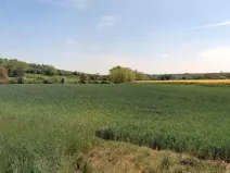 Prodej pole, Zdětín, 11949 m2