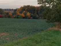Prodej zahrady, Červené Pečky, 4357 m2