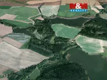 Prodej lesa, Dírná, 6834 m2