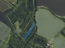 Prodej lesa, Dírná, 6834 m2