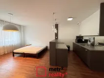 Pronájem bytu 1+kk, Olomouc, Wellnerova, 45 m2