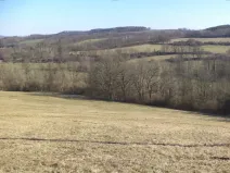 Dražba louky, Úštěk, 21164 m2