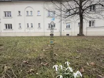 Prodej bytu 2+1, Ostrava - Hrabůvka, Jubilejní, 81 m2