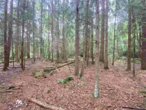 Prodej pole, Krásná, 10460 m2