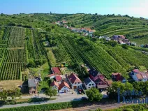 Prodej vinného sklepa, Mutěnice, 210 m2