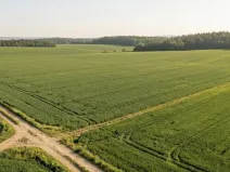 Prodej pole, Barchovice, 3780 m2