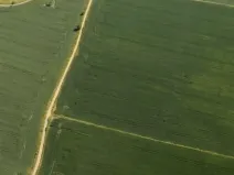 Prodej pole, Barchovice, 3780 m2