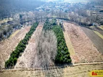 Prodej pole, Znojmo, 2970 m2