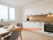 Pronájem bytu 1+1, Ostrava - Výškovice, Srbská, 37 m2