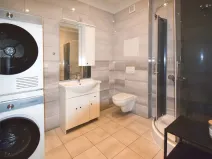 Pronájem bytu 2+1, Plzeň - Jižní Předměstí, Plynární, 70 m2