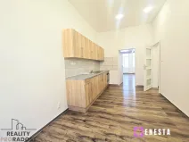 Pronájem bytu 1+1, Praha - Nusle, Boleslavova, 46 m2