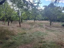 Pronájem zahrady, Smečno, Přelícká, 2508 m2