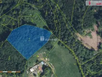 Prodej lesa, Semily - Bítouchov, 4773 m2