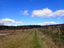 Pronájem komerčního pozemku, Velká Chmelištná, 10000 m2