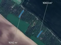 Prodej podílu lesa, Morašice, 698 m2