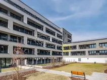 Pronájem bytu 1+kk, Praha - Hloubětín, Poděbradská, 39 m2