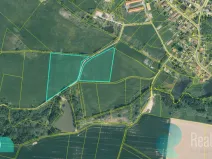 Prodej podílu 1/4 louky, Drmoul, 12559 m2