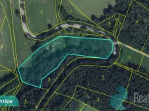 Prodej louky, Výprachtice, 6838 m2