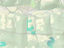 Prodej podílu 4/10 lesa, Bystřička, 16784 m2