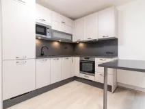 Pronájem bytu 2+kk, Olomouc, Eduarda Hamburgera, 55 m2