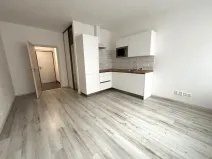Pronájem bytu 1+kk, Plzeň - Východní Předměstí, Papírnická, 29 m2