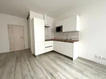 Pronájem bytu 1+kk, Plzeň - Východní Předměstí, Papírnická, 29 m2