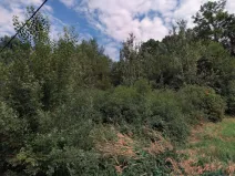 Prodej louky, Vápenná, 2625 m2