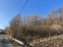 Prodej louky, Vápenná, 2625 m2