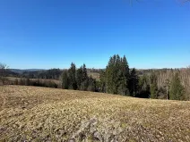 Prodej louky, Bozkov, 14441 m2