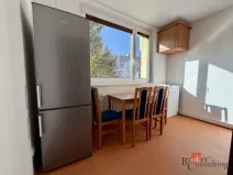 Pronájem bytu 1+1, Jihlava, Březinova, 33 m2